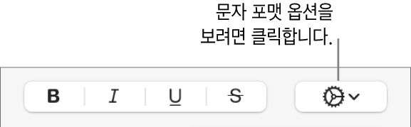 볼드체, 이탤릭체, 밑줄체 및 취소선 버튼 오른쪽에 있는 추가 텍스트 옵션 팝업 메뉴.