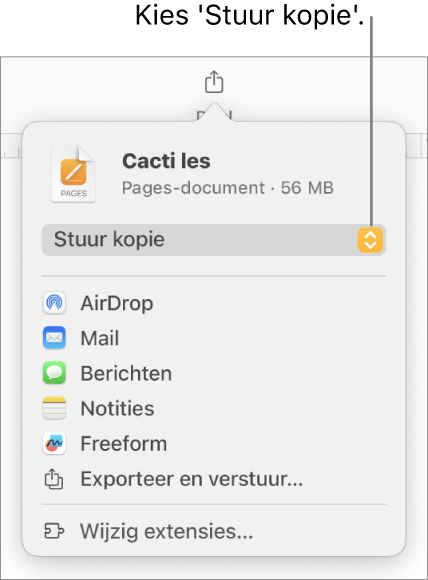 Het Deel-menu waarin bovenin 'Stuur kopie' is geselecteerd.