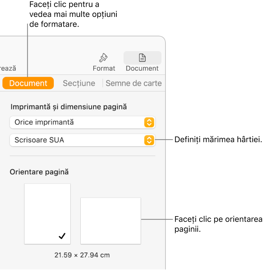 Bara laterală Document cu fila Document selectată în partea de sus a barei laterale. În bara laterală se află un meniu pop‑up pentru configurarea mărimii hârtiei și butoane pentru orientarea paginii în modul portret sau peisaj.