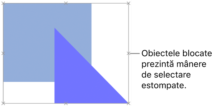 Obiecte blocate cu mânere de selecție estompate.