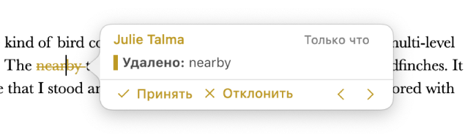 Удаленный текст с открытым комментарием, элементами «Принять» и «Отклонить» и стрелками навигации. Для отслеживаемого изменения отображается имя автора и дата.