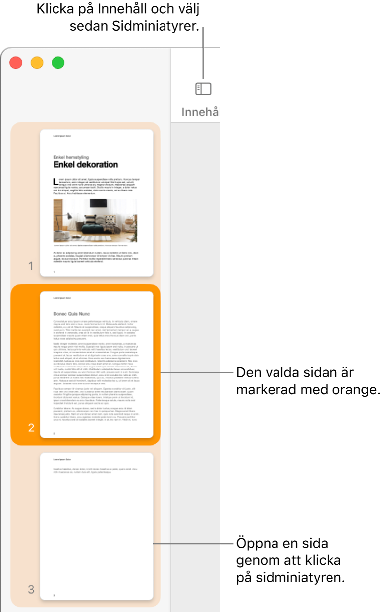 Sidofältet till vänster i Pages-fönstret med sidminiatyrvyn öppen och en vald sida markerad med mörkt orange.