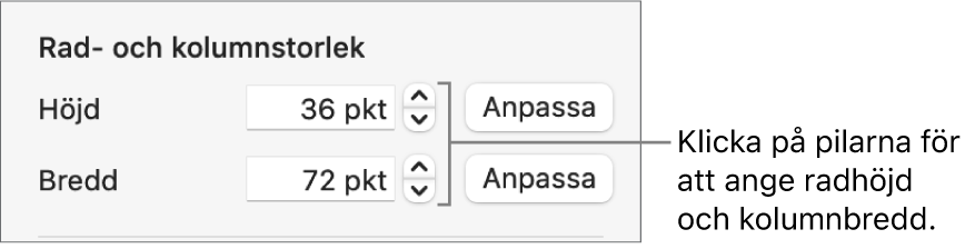 Reglagen för att ställa in en exakt rad- eller kolumnstorlek.