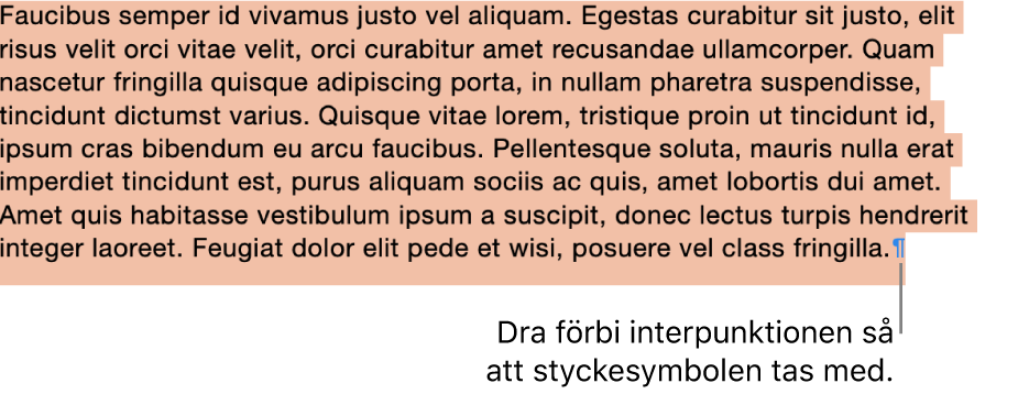 Ett stycke är markerat och styckesymbolen är inkluderad i markeringen.