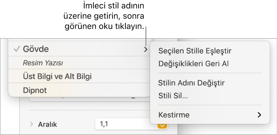 Kestirme menüsünün açık olduğu Paragraf Stilleri menüsü.