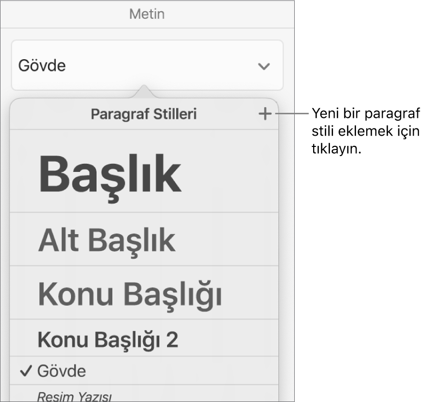 Yeni Stil düğmesi belirtimini içeren Paragraf Stilleri menüsü.