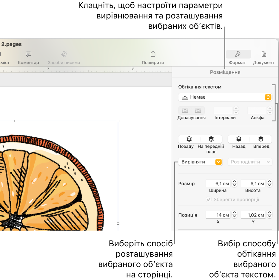 Меню «Формат», відображається бокова панель «Розміщення». Угорі бічної панелі «Розміщення» відображається налаштування «Розташування обʼєкта», а нижче «Обтікання текстом».