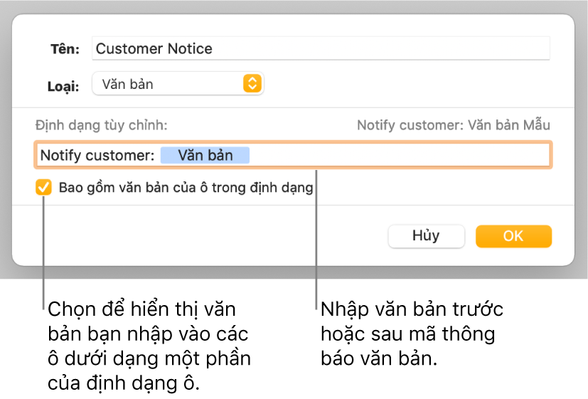 Cửa sổ định dạng ô tùy chỉnh với các điều khiển để chọn định dạng văn bản tùy chỉnh.