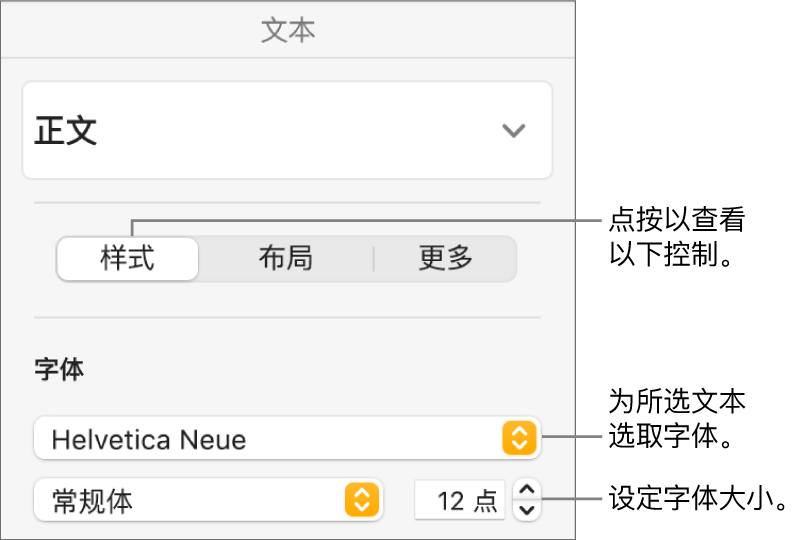 “格式”边栏的“样式”部分中用于设定字体和字体大小的文本控制。