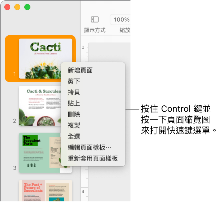 「頁面縮覽圖」顯示方式，已選取一個縮覽圖和開啟快速鍵選單。