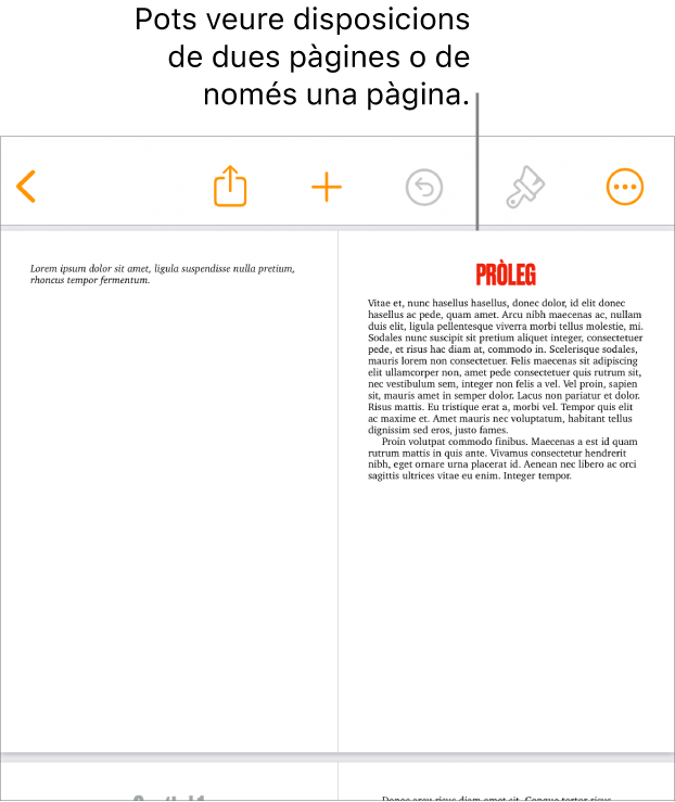 Un document amb una visualització consistent en una disposició de dues pàgines.