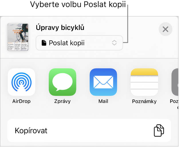 Nabídka sdílení, v níž je nahoře vybraná volba Poslat kopii