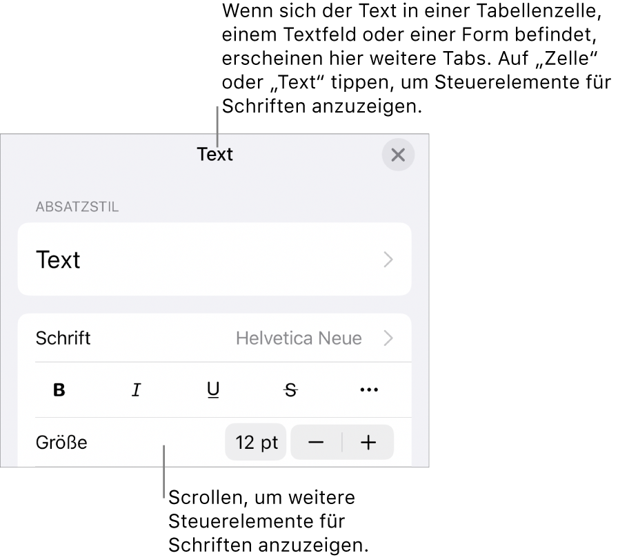 Textsteuerelemente im Menü „Format“ zum Festlegen von Absatz- und Zeichenstilen, Schrift, Größe und Farbe