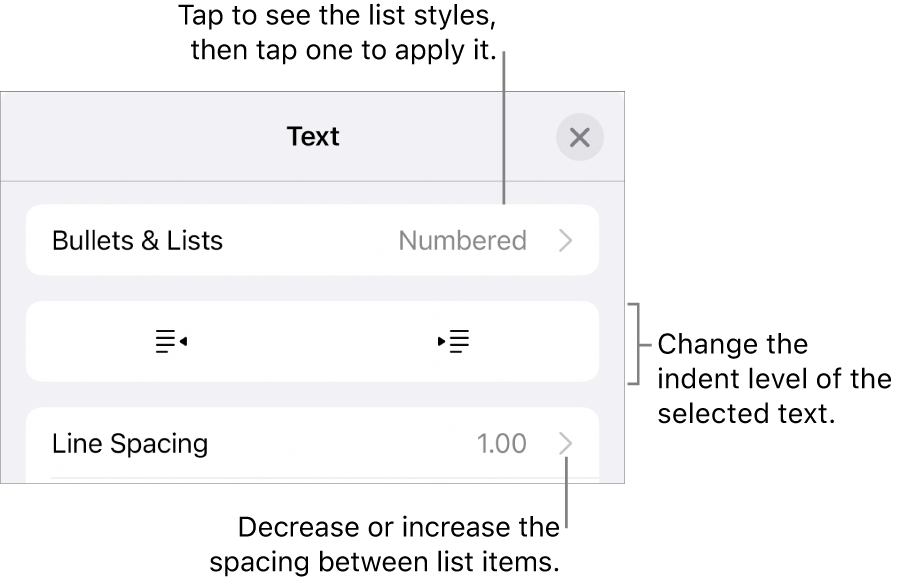 The Bullets & Lists section of the Format controls with callouts to Bullets & Lists, outdent and indent buttons, and line spacing controls.