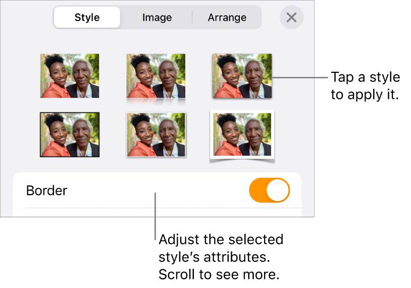 The Style tab of the Format menu with object styles at the top and a control below them to change the border.