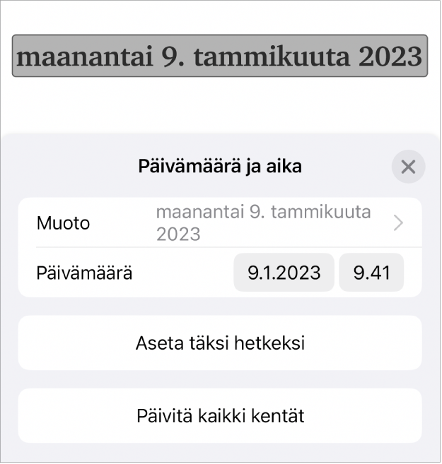 Päivämäärä ja aika ‑säätimet, joissa näkyvät päivämäärän Muoto-ponnahdusvalikko sekä Aseta täksi hetkeksi ‑painike ja Päivitä kaikki kentät ‑painike.