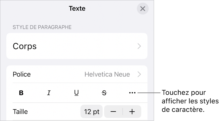 Les commandes Format avec les boutons Gras, Italique, Souligné, Barré et Plus d’options de texte.