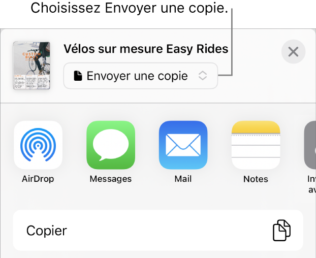 Le menu Partager avec l’option Envoyer une copie sélectionnée dans le haut.