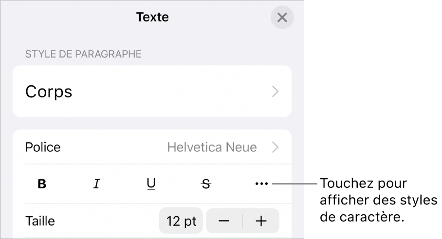 Les commandes de mise en forme, avec les boutons Gras, Italique, Souligné, Barré et « Plus d’options de texte ».