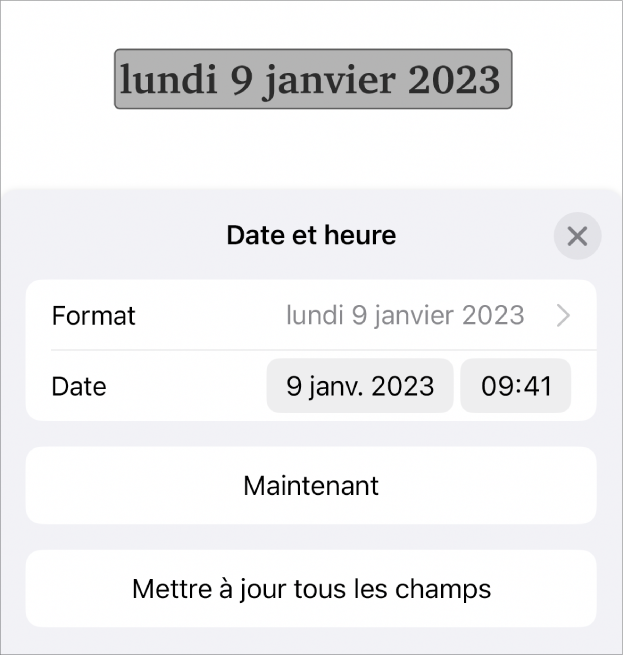 Les commandes Date et heure affichant un menu local pour le format de date, ainsi que des boutons Maintenant et Mettre à jour tous les champs.