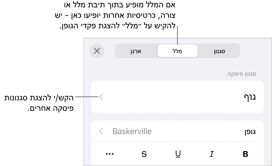 תפריט ״עיצוב״ עם כלי בקרה של מלל להגדרת סגנונות, גופן, גודל וצבע עבור פיסקאות ותווים.