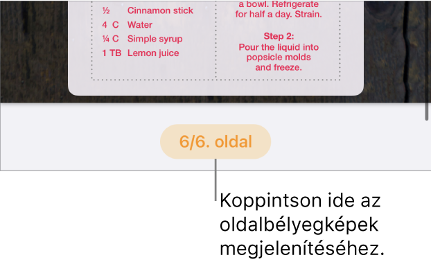 Egy megnyitott dokumentum az oldalszám gombbal a képernyő aljának közepén.