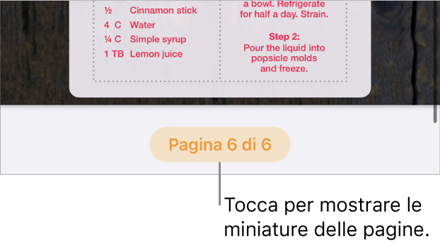 Documento aperto con il pulsante del numero di pagina nella parte inferiore centrale dello schermo.