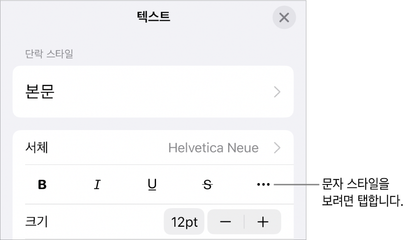 볼드체, 이탤릭체, 밑줄체, 취소선 및 추가 텍스트 옵션 버튼이 있음.