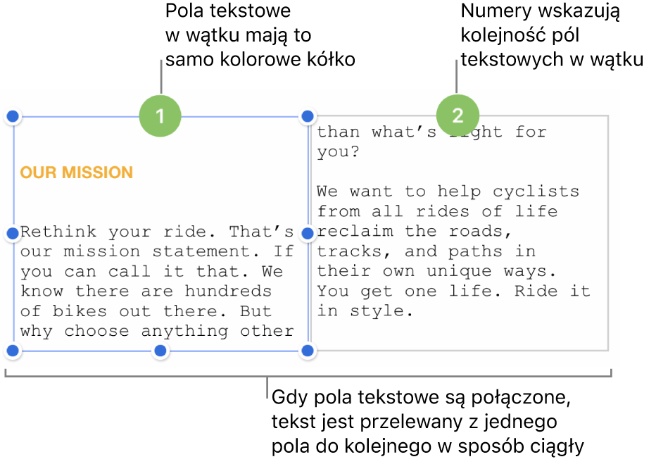 Dwa pola tekstowe z purpurowym kółkiem na górze oraz liczbą 1 i 2 w danym kółku.