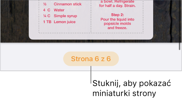 Otwarty dokument. Na dole, po środku ekranu, widoczny jest przycisk numeru strony.