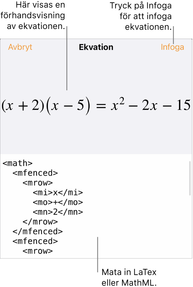 Dialogrutan Ekvation visar en ekvation som skrivits med MathML-kommandon och en förhandsvisning av formeln ovanför den.