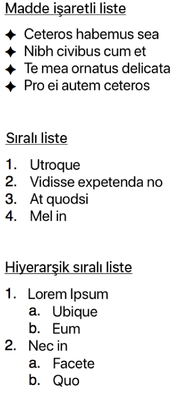 Madde işaretli, sıralı ve hiyerarşik sıralı liste örnekleri.