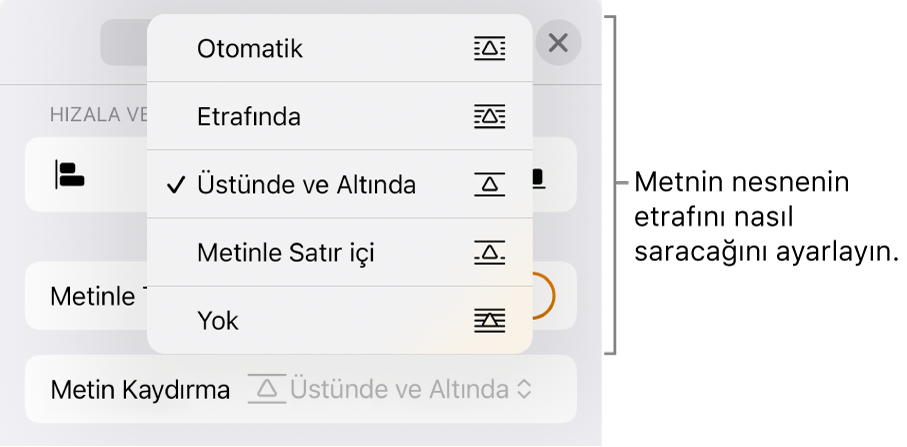 Otomatik, Etrafında, Üstünde ve Altında, Metinle Satır İçi ve Yok için ayarlar içeren Metin Kaydırma denetimleri.