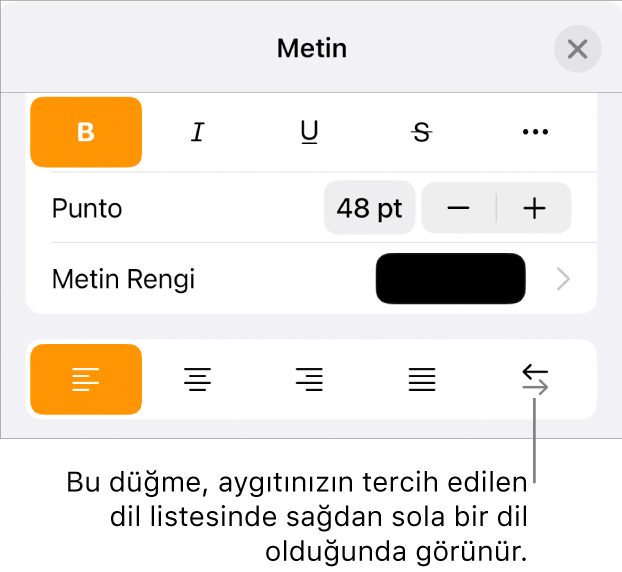 Sağdan Sola düğmesini gösteren bir belirtme çizgisi ile Biçim menüsündeki metin denetimleri.