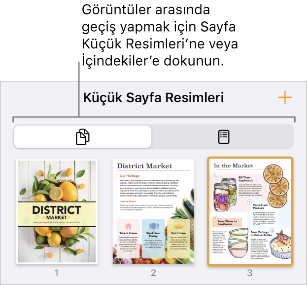 Her bir sayfanın küçük resim görüntüsü ile Sayfa Küçük Resimleri görüntüsü. Sayfa Küçük Resimleri düğmesi ve İçindekiler düğmesi ekranın en altındadır.