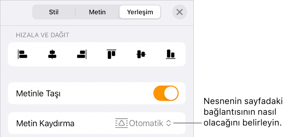 Metinle Taşı ve Metin Kaydırma’yı içeren Yerleştir denetimleri.