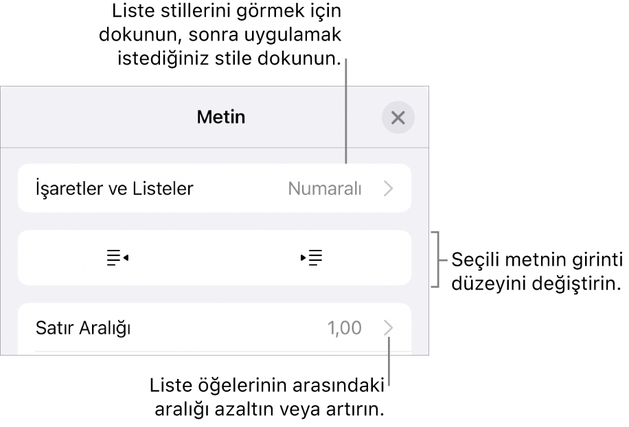 Madde İşaretleri ve Listeler, çıkıntı ve girinti düğmeleri ve de satır aralığı denetimlerini gösteren belirtme çizgileri ile Biçim denetimlerinin Madde İşaretleri ve Listeler bölümü.