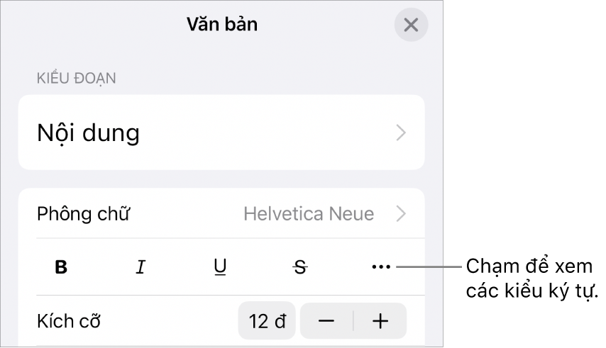 Các điều khiển Định dạng với các nút In đậm, In nghiêng, Gạch chân, Gạch xuyên và Tùy chọn văn bản khác.
