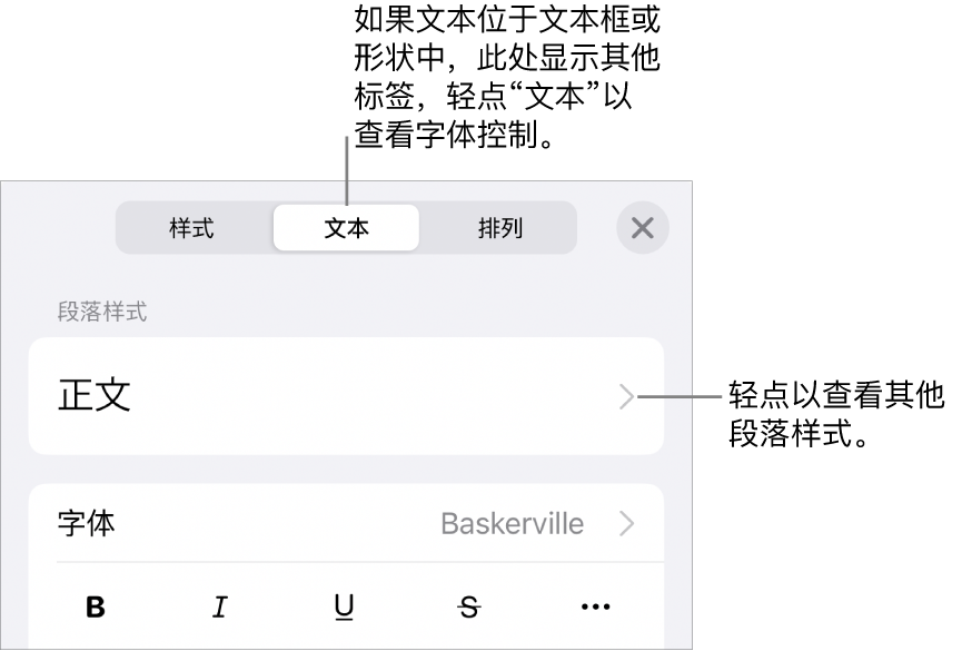 显示文本控制的“格式”菜单，用于设定段落和字符样式、字体、大小和颜色。