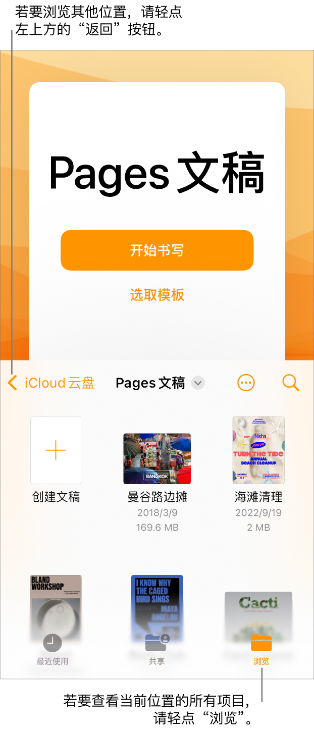 文稿管理器的浏览视图，“返回”按钮位于左上角，其下方是搜索栏。搜索栏下方是“创建文稿”按钮，位于现有文稿的缩略图旁边。右上角是“最近使用”、“共享”和“浏览”按钮。