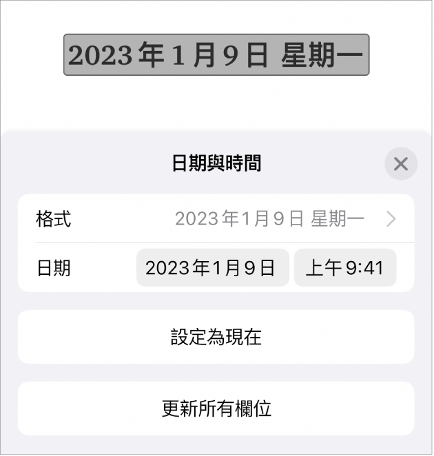 「日期與時間」控制項目，顯示日期「格式」的彈出式選單，以及「設為現在」按鈕和「更新所有欄位」按鈕。