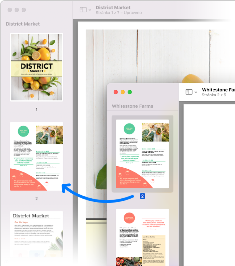 Miniatura je přetažena z bočního panelu jednoho PDF souboru na boční panel jiného
