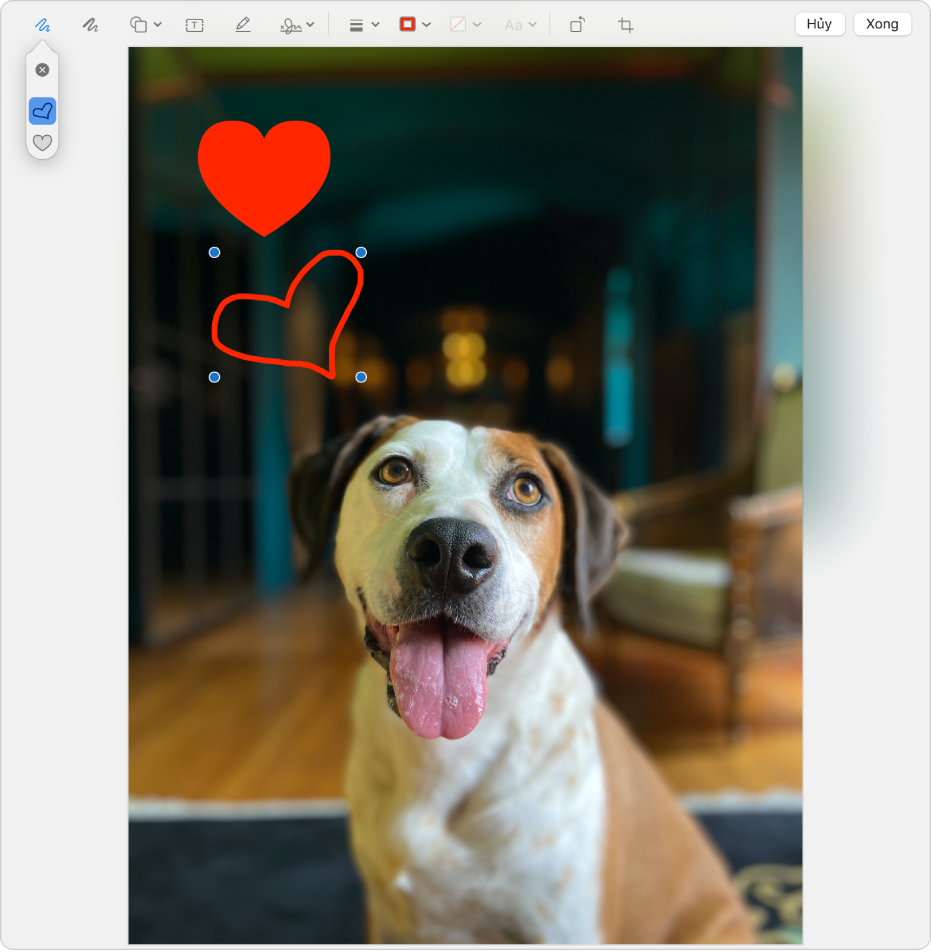 Hình ảnh với hình trái tim được vẽ trên đó bằng công cụ Đánh dấu.