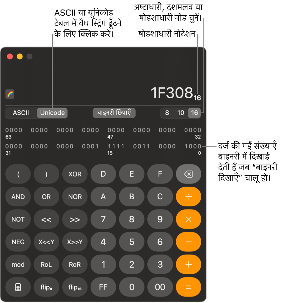 प्रोग्रामर मोड में एक कैलक्यूलेटर।