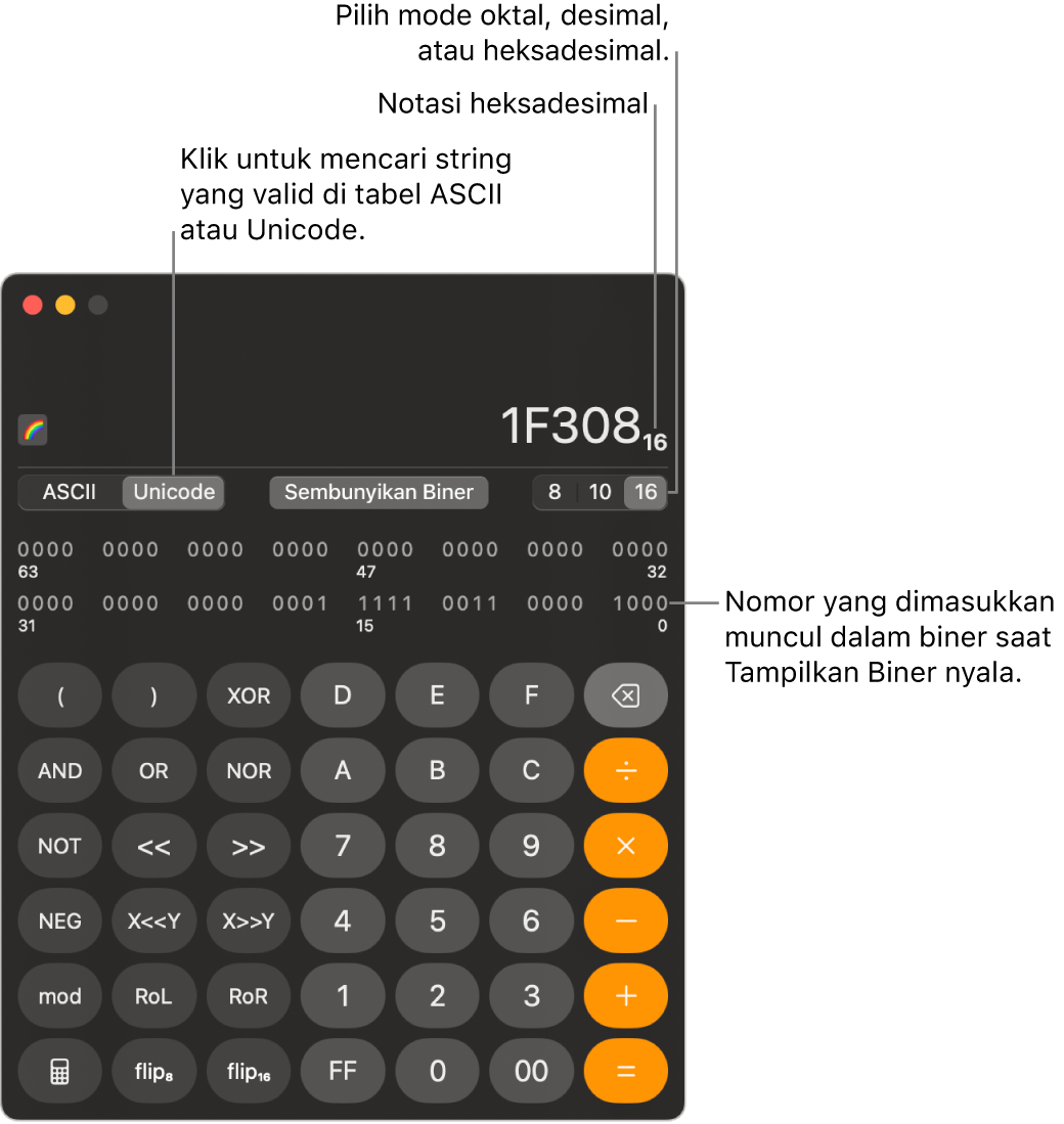 Kalkulator dalam mode pemrogram.