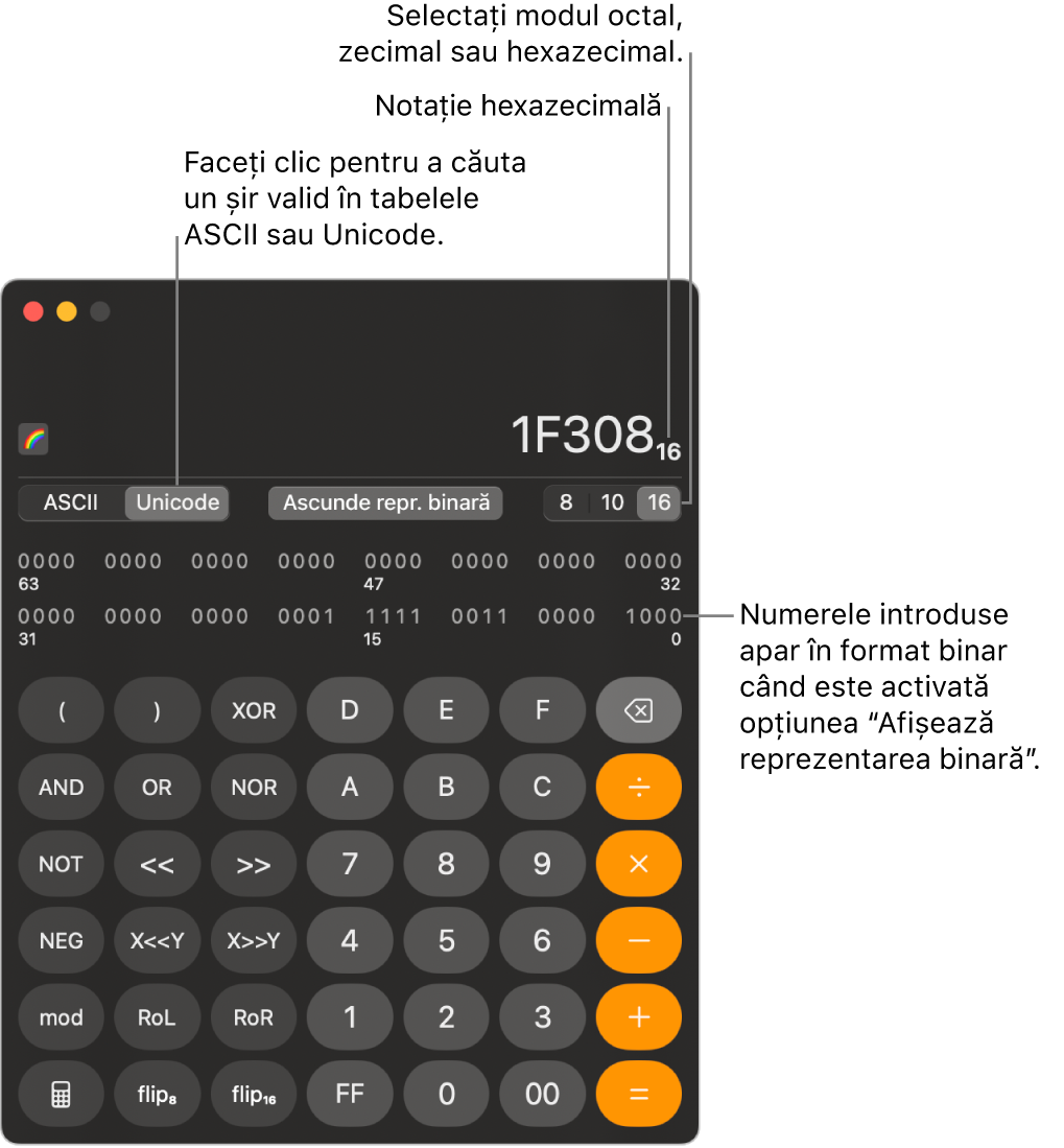 Un calculator în modul programator.