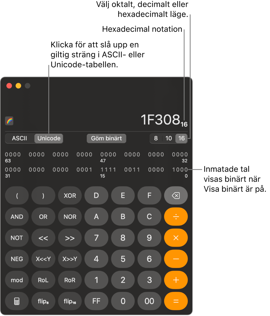 En kalkylator i programmerarläge.