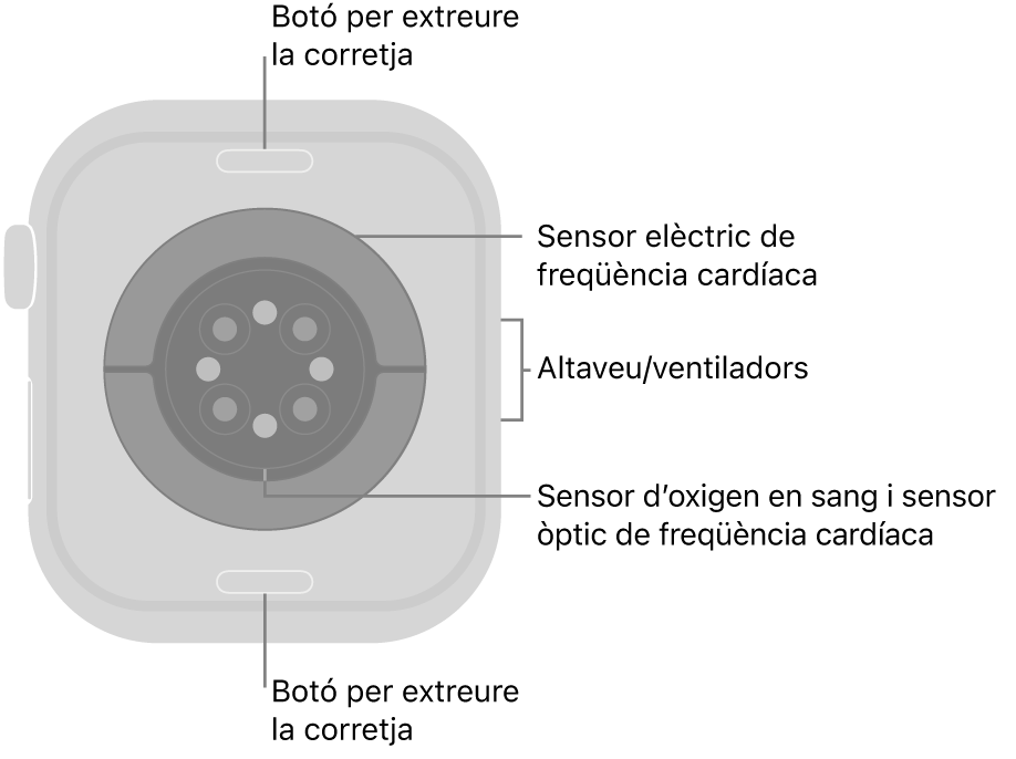 La part de darrere de l’Apple Watch Series 10 mostra els botons per obrir la corretja a dalt i a baix; els sensors elèctrics cardíacs, els sensors òptics cardíacs i els sensors d’oxigen en sang al mig, i l’altaveu i les sortides de ventilació a la part lateral del rellotge.