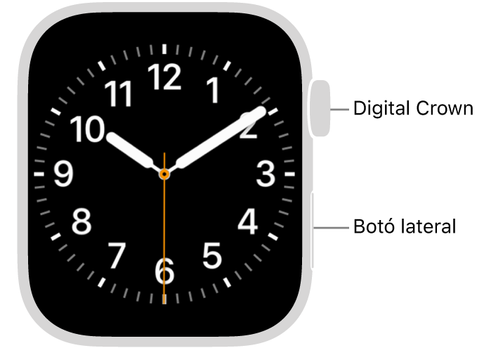 La part frontal de l’Apple Watch, amb la Digital Crown a dalt a la dreta i el botó lateral, a baix a la dreta.