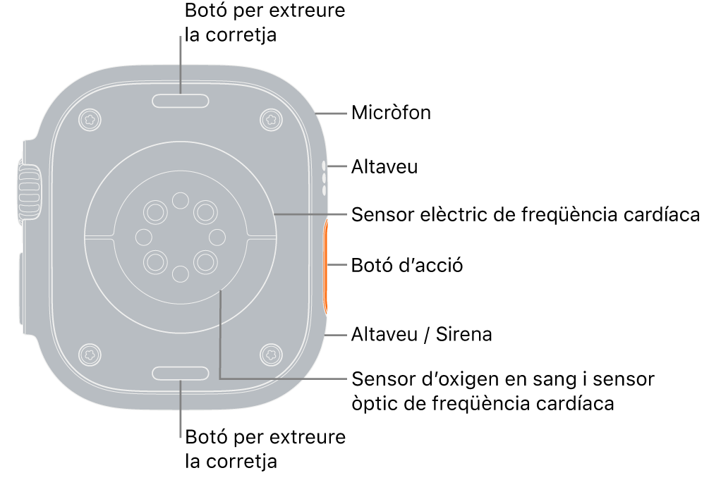 La part posterior de l’Apple Watch Ultra amb els botons per obrir la corretja a dalt i a baix. Al lateral, s’indiquen un micròfon, un altaveu, el sensor elèctric de freqüència cardíaca, el botó d’acció, un port d’altaveu des del qual emet sons la sirena, els sensors d’oxigen en sang i els sensors òptics cardíacs.